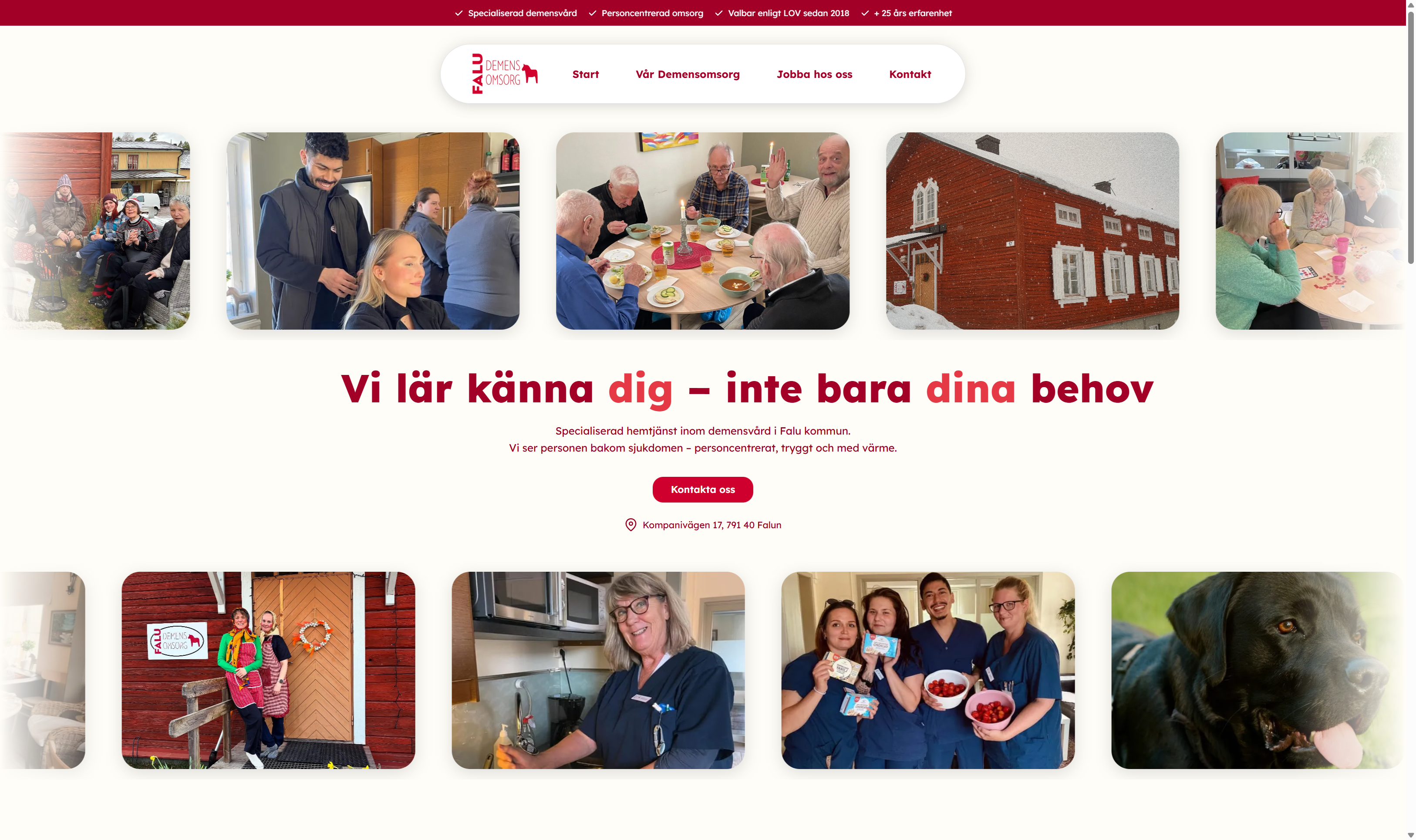 Ny webbplats — faludemensomsorg.se